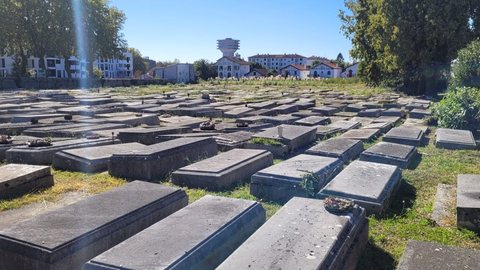 Le cimetière juif de Bayonne sous le soleil : des rangées de tombes plates en pierre grise, entourées d'arbres